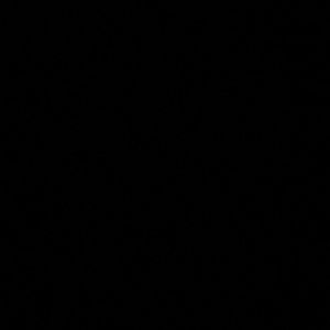 Meet your Posher, Rylie